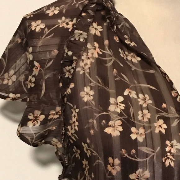 Sheer Blouse - Picture 4 of 5